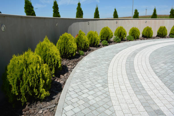 Best Interlocking Driveway Pavers  in Bottineau, ND